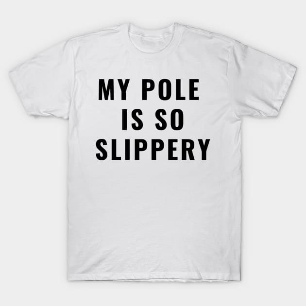 My Pole Is So Slippery - Pole Dance Design T-Shirt by Liniskop